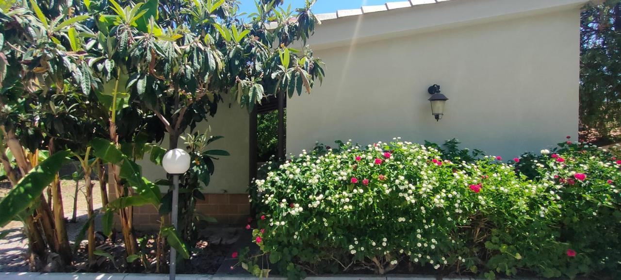 Sicily By Dreams Vila Campofelice Di Roccella Exterior foto